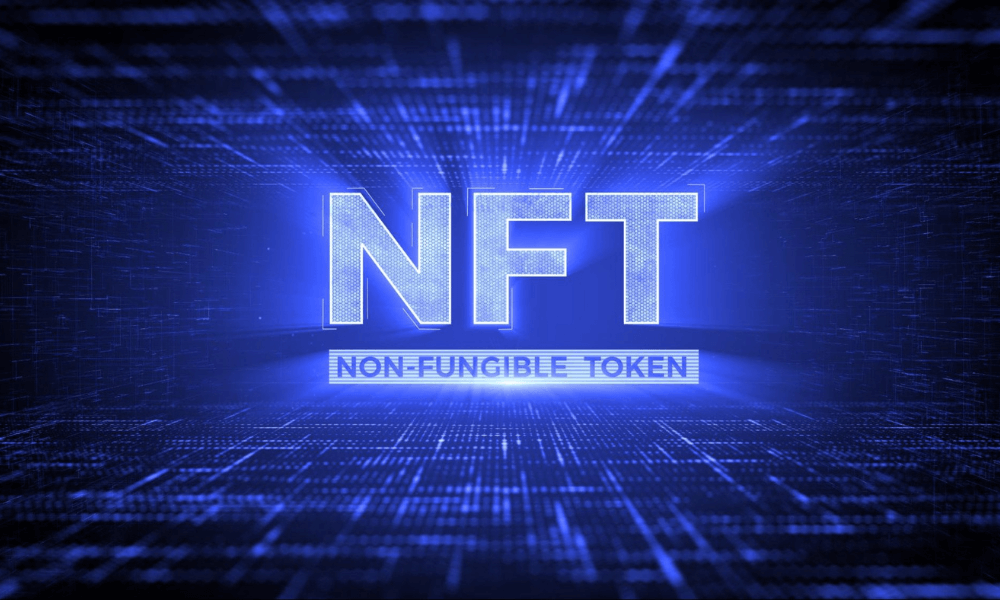 Payperless Crypto Wallet Announced Working On NFT Tokens Support!